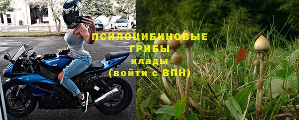 марки nbome Бородино