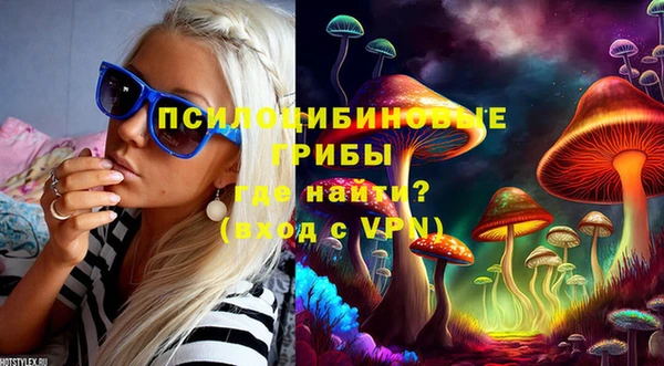 марки nbome Бородино