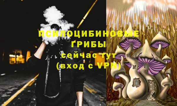 марки nbome Бородино