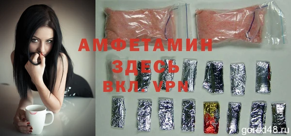 гашик Сосновка