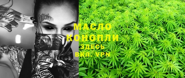 прущие грибы Сатка