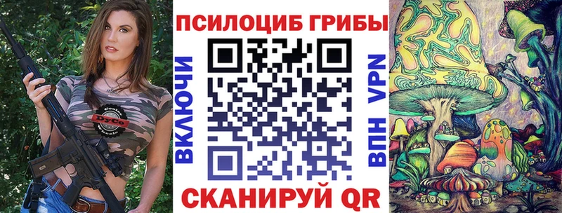 дарнет шоп  Южноуральск  Псилоцибиновые грибы ЛСД 